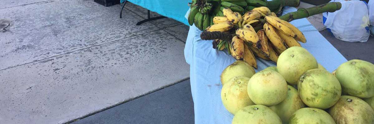 Close up Produce and Bananas available to Veterans