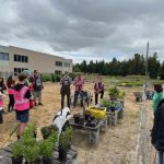 Bybee Lakes Victory Garden Fall Volunteer Work Day