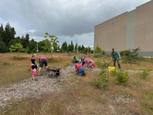 Bybee Lakes Victory Garden Service Day - May 2024