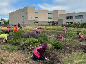 Bybee Lakes Victory Garden Service Day - May 2024