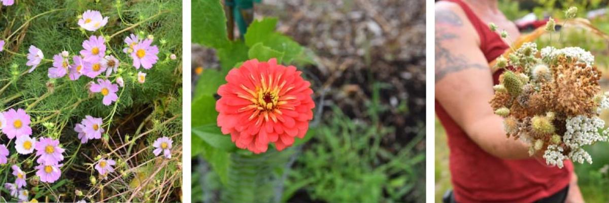 VetREST gathering - Let's increase our reach!