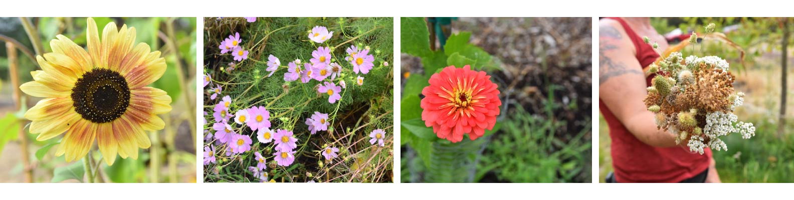 VetREST gathering - Let's increase our reach!