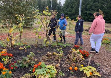 BLHC Victory Garden Harvest Work Day