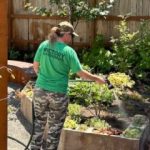Metro Central Victory Garden Work Day - July 25