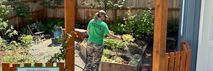 Metro Central Victory Garden Work Day - July 23