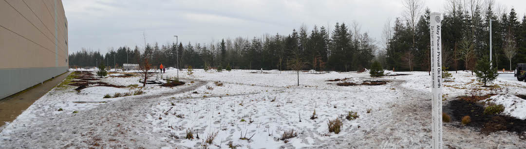 Bybee Lakes Hope Center / Friends of Trees Planting, Feb 15, 2025