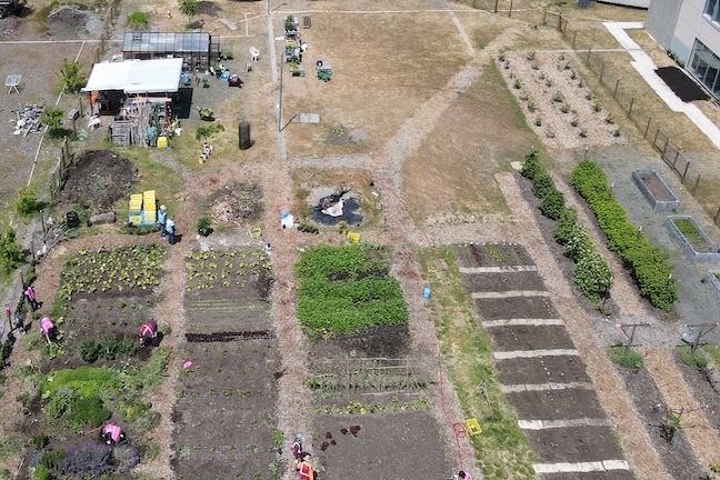Soil Building at Bybee Lakes Hope Center Victory Garden 2025