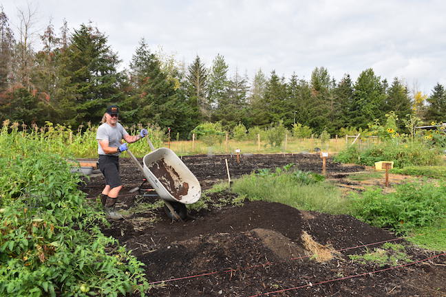Soil Building at Bybee Lakes Hope Center Victory Garden 2025