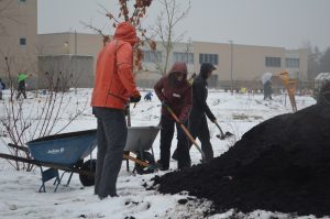 Bybee Lakes Hope Center / Friends of Trees Planting, Feb 15, 2025