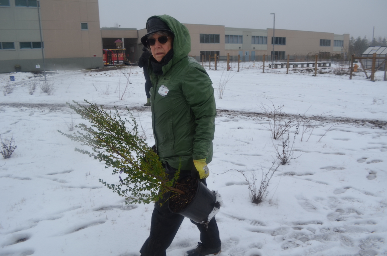 Bybee Lakes Hope Center / Friends of Trees Planting, Feb 15, 2025