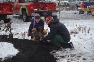 Bybee Lakes Hope Center / Friends of Trees Planting, Feb 15, 2025