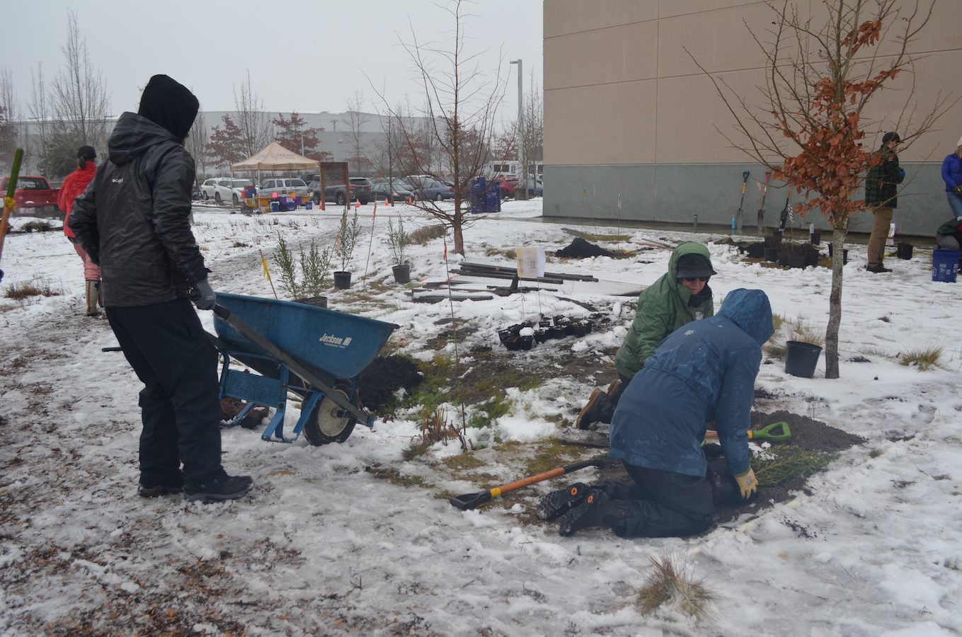 Bybee Lakes Hope Center / Friends of Trees Planting, Feb 15, 2025