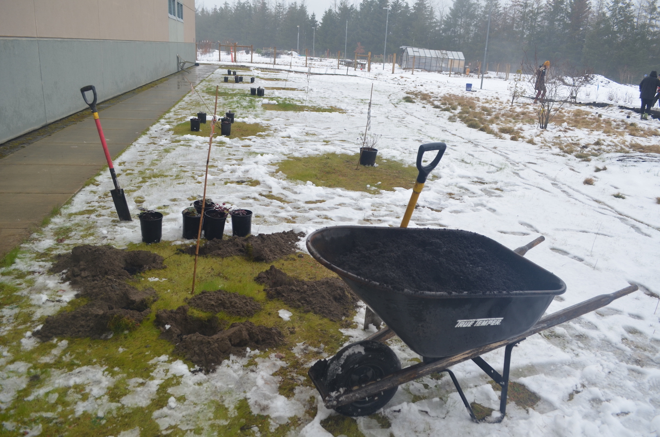 Bybee Lakes Hope Center / Friends of Trees Planting, Feb 15, 2025