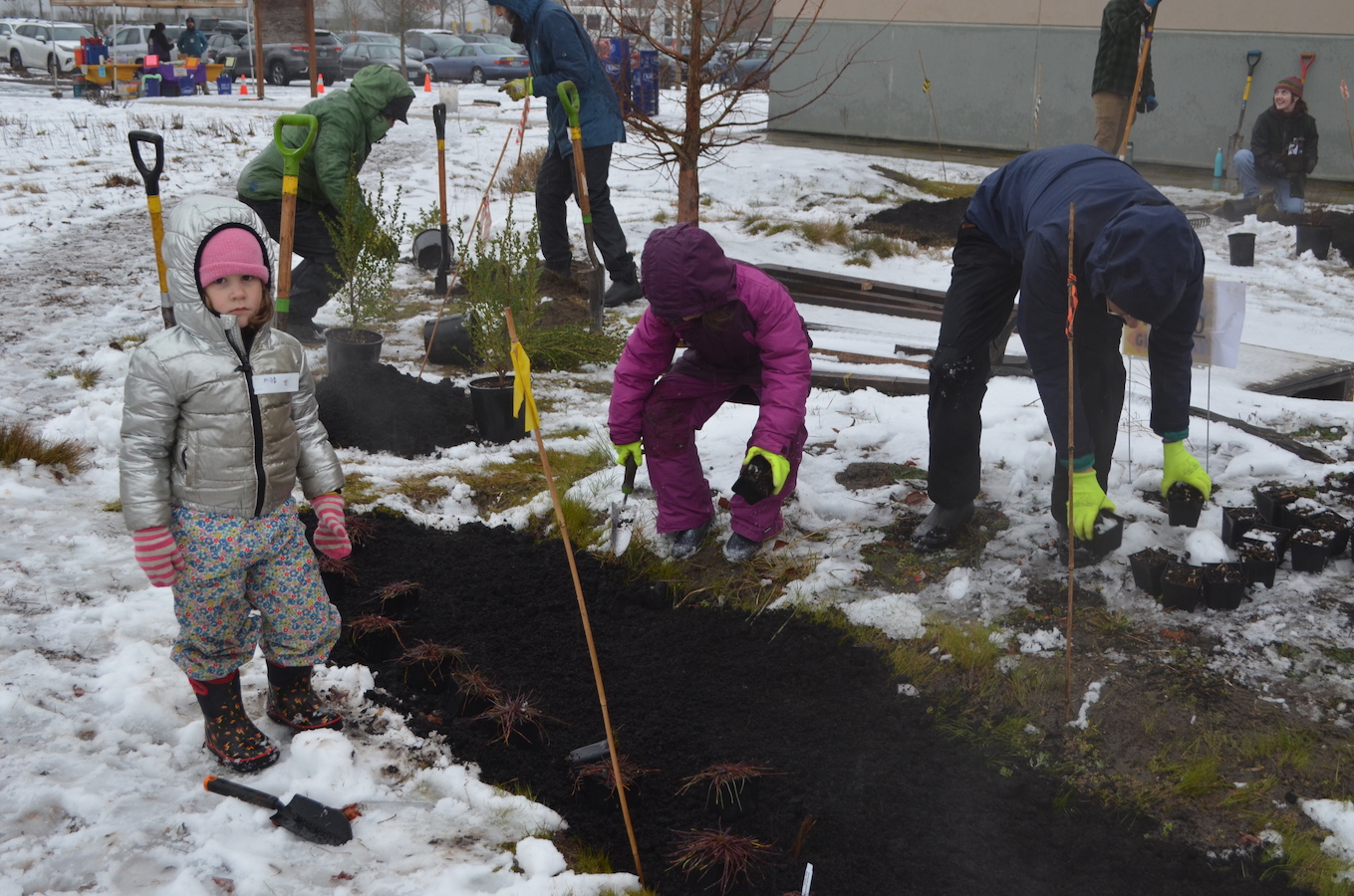 Bybee Lakes Hope Center / Friends of Trees Planting, Feb 15, 2025