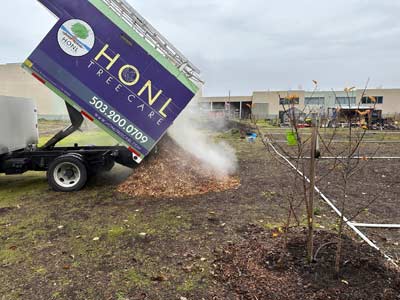 Honl Tree Care dumps mulch at Victory Garden Work Day