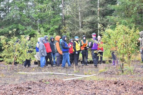 Bybee Lakes Victory Garden Planting Day with Friends of Trees, Nov. 1, 2025