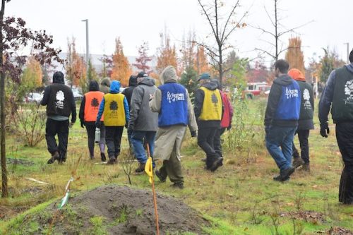 Bybee Lakes Victory Garden Planting Day with Friends of Trees, Nov. 1, 2025
