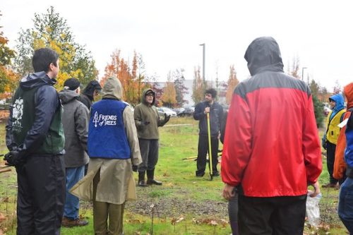 Bybee Lakes Victory Garden Planting Day with Friends of Trees, Nov. 1, 2025
