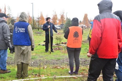 Bybee Lakes Victory Garden Planting Day with Friends of Trees, Nov. 1, 2025