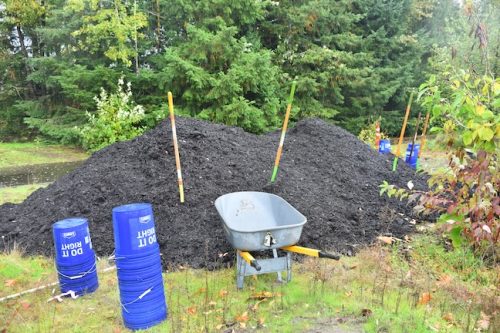 Bybee Lakes Victory Garden Planting Day with Friends of Trees, Nov. 1, 2025