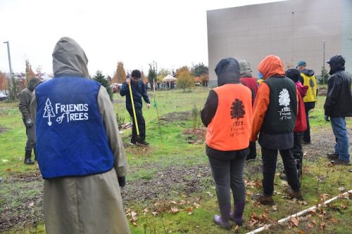 Bybee Lakes Victory Garden Planting Day with Friends of Trees, Nov. 1, 2025