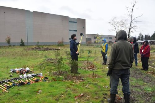 Bybee Lakes Victory Garden Planting Day with Friends of Trees, Nov. 1, 2025