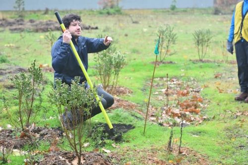 Bybee Lakes Victory Garden Planting Day with Friends of Trees, Nov. 1, 2025