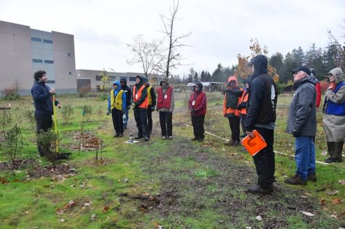 Bybee Lakes Victory Garden Planting Day with Friends of Trees, Nov. 1, 2025