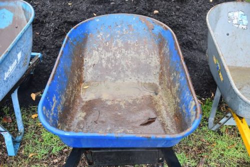 Bybee Lakes Victory Garden Planting Day with Friends of Trees, Nov. 1, 2025