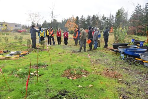 Bybee Lakes Victory Garden Planting Day with Friends of Trees, Nov. 1, 2025