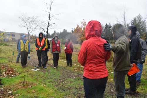Bybee Lakes Victory Garden Planting Day with Friends of Trees, Nov. 1, 2025
