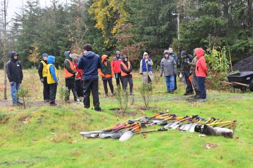 Bybee Lakes Victory Garden Planting Day with Friends of Trees, Nov. 1, 2025