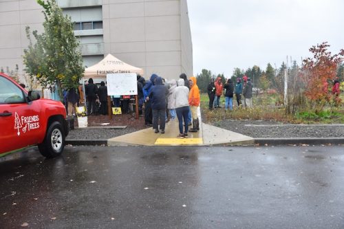 Bybee Lakes Victory Garden Planting Day with Friends of Trees, Nov. 1, 2025
