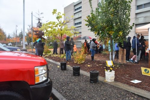 Bybee Lakes Victory Garden Planting Day with Friends of Trees, Nov. 1, 2025