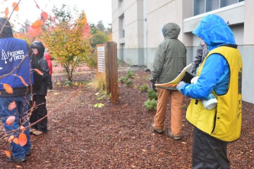 Bybee Lakes Victory Garden Planting Day with Friends of Trees, Nov. 1, 2025