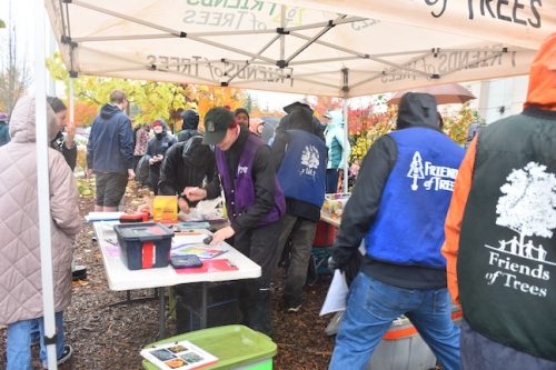 Bybee Lakes Victory Garden Planting Day with Friends of Trees, Nov. 1, 2025