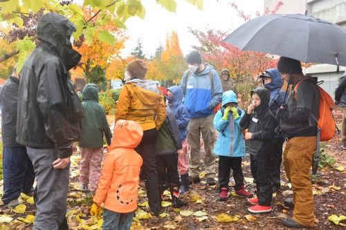 Bybee Lakes Victory Garden Planting Day with Friends of Trees, Nov. 1, 2025