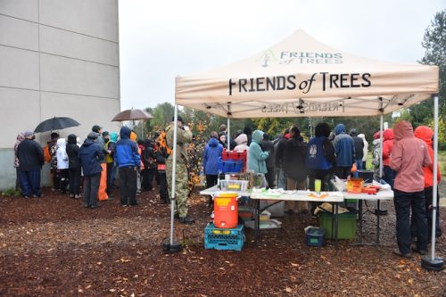 Bybee Lakes Victory Garden Planting Day with Friends of Trees, Nov. 1, 2025