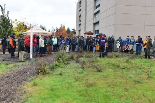 Bybee Lakes Victory Garden Planting Day with Friends of Trees, Nov. 1, 2025