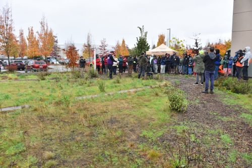 Bybee Lakes Victory Garden Planting Day with Friends of Trees, Nov. 1, 2025
