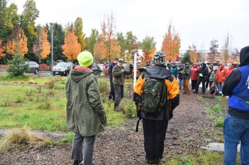 Bybee Lakes Victory Garden Planting Day with Friends of Trees, Nov. 1, 2025