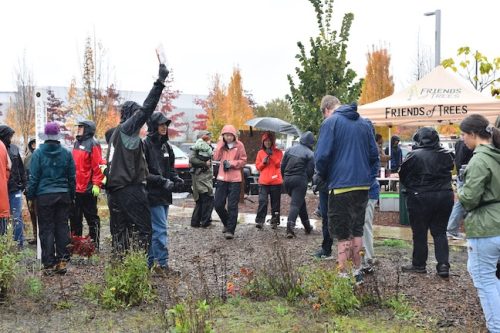 Bybee Lakes Victory Garden Planting Day with Friends of Trees, Nov. 1, 2025