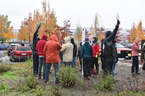 Bybee Lakes Victory Garden Planting Day with Friends of Trees, Nov. 1, 2025