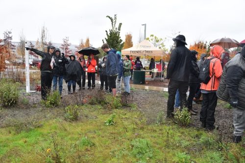 Bybee Lakes Victory Garden Planting Day with Friends of Trees, Nov. 1, 2025