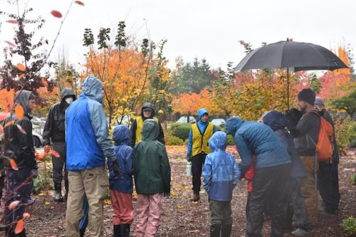 Bybee Lakes Victory Garden Planting Day with Friends of Trees, Nov. 1, 2025
