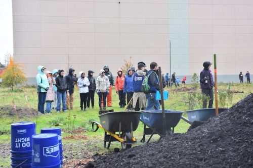 Bybee Lakes Victory Garden Planting Day with Friends of Trees, Nov. 1, 2025