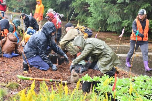 Bybee Lakes Victory Garden Planting Day with Friends of Trees, Nov. 1, 2025