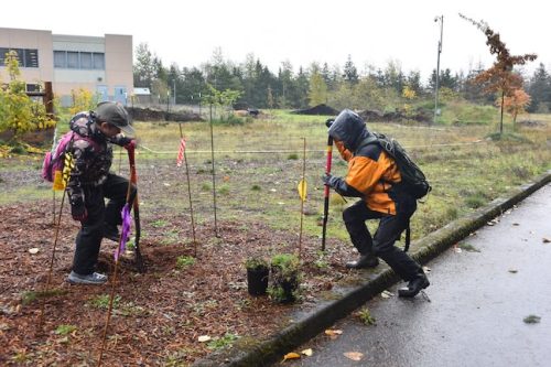 Bybee Lakes Victory Garden Planting Day with Friends of Trees, Nov. 1, 2025