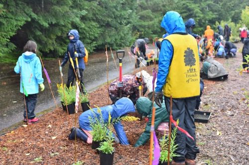 Bybee Lakes Victory Garden Planting Day with Friends of Trees, Nov. 1, 2025