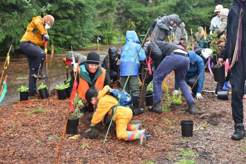 Bybee Lakes Victory Garden Planting Day with Friends of Trees, Nov. 1, 2025